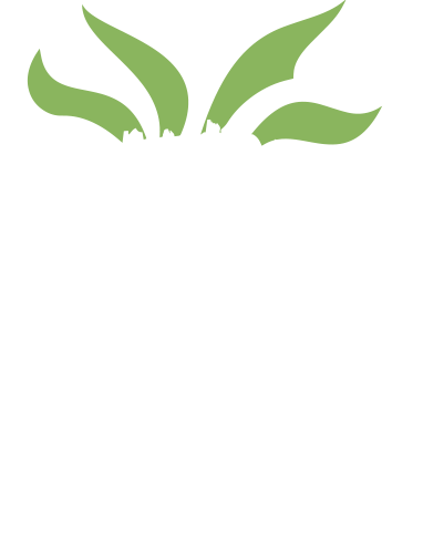 Strawberry Fields Festival Logo